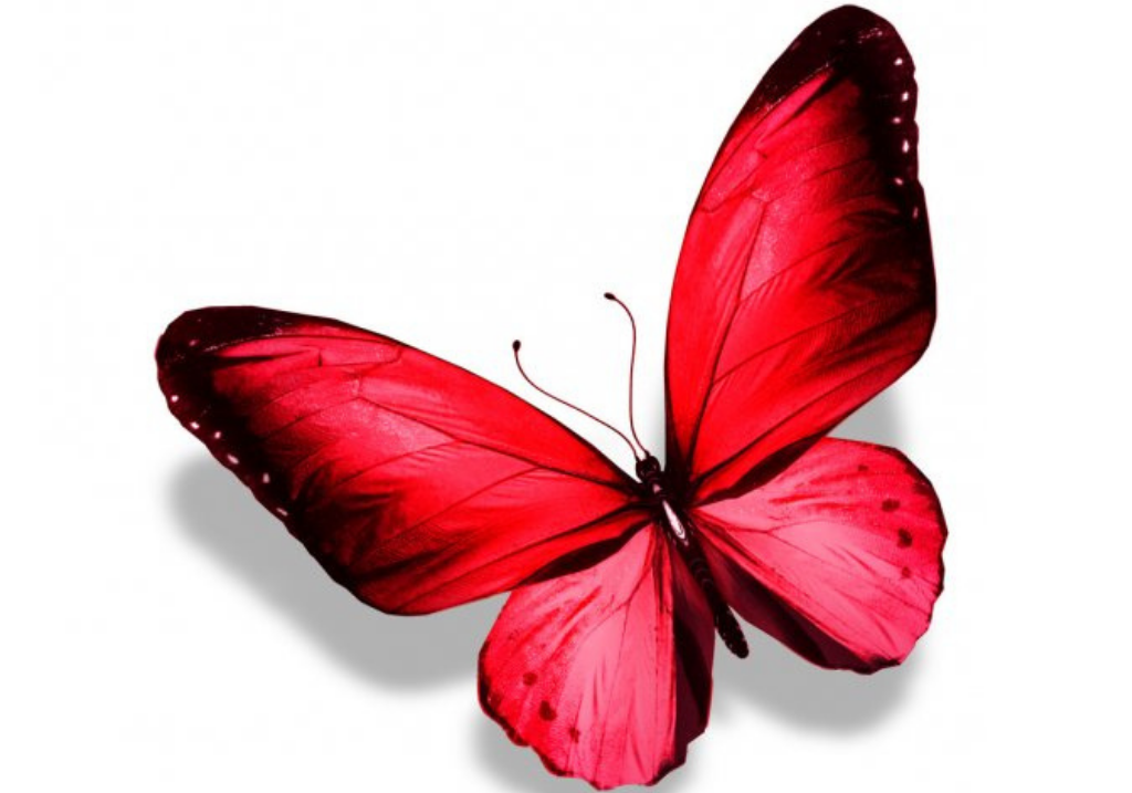 Effetto farfalla rossa