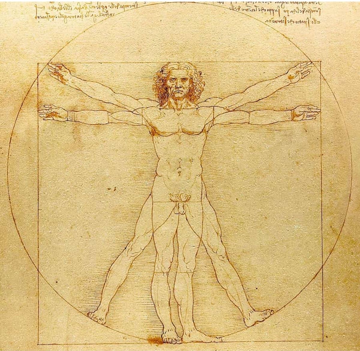 Uomo Vitruviano Leonardo Da Vinci