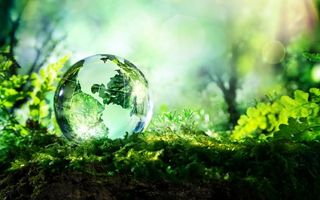 QUALIFICA PROCEDIMENTI DI VERNICIATURA CHE AIUTANO L’AMBIENTE: SCOPRI COME