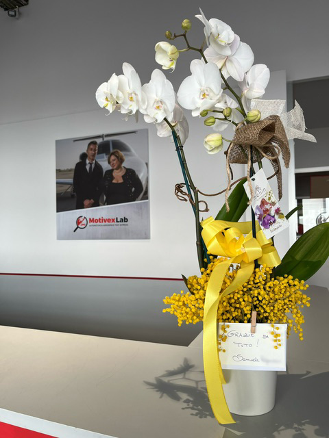 Samuele, le mimose